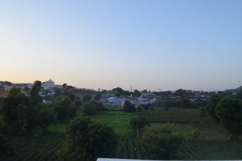 Hotel The Natural View Pushkar