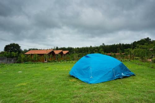 Albergue Trippr Chikkamagaluru