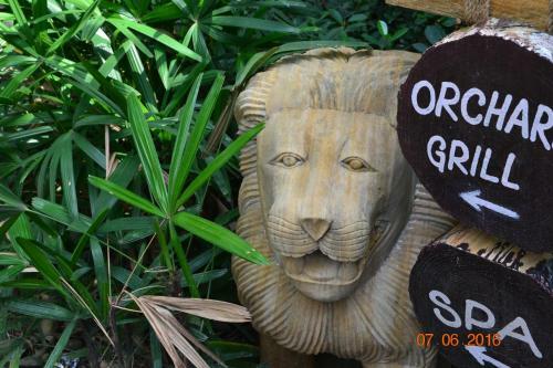 Hotel Corbett Wild Iris Spa And Resort