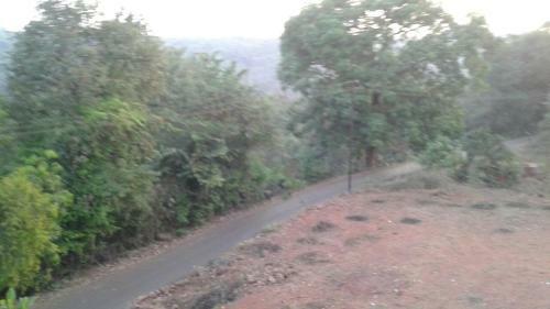 Hostal Barve Homes