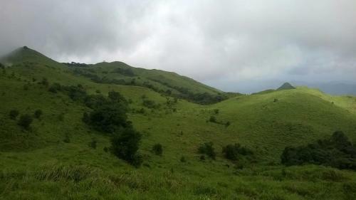The Den-escape To Nature