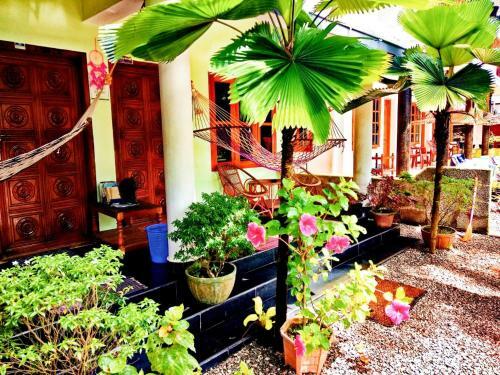 Posada Mummy Bamboo House