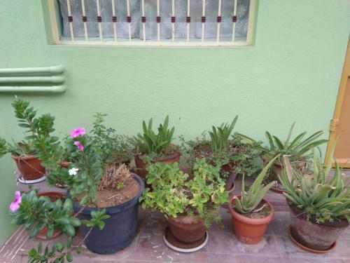 Apartamento Green House