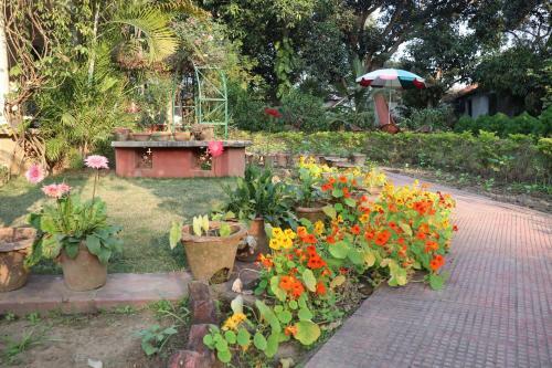 Bed & Breakfast Saptarshi Bungalow