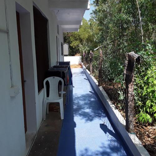 Blue Lotus Hostel