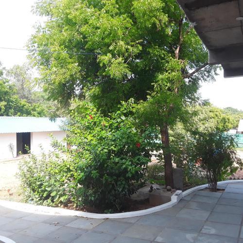 Blue Lotus Hostel
