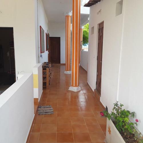 Blue Lotus Hostel