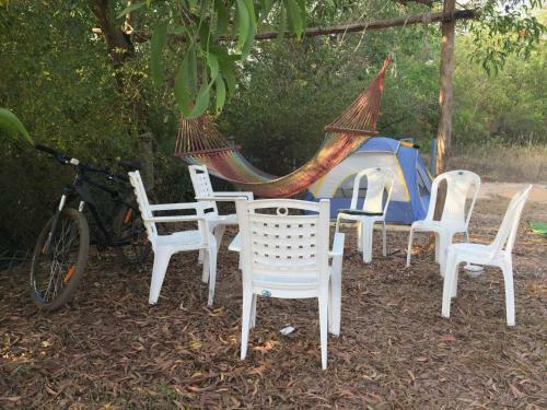 Blue Lotus Hostel