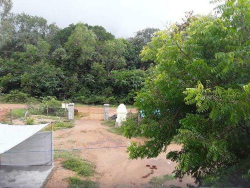 Blue Lotus Hostel