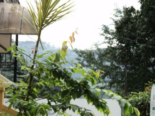 Misty Homes Munnar