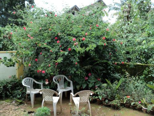 Misty Homes Munnar