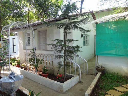 Hotel Dolphin House Beach Resort