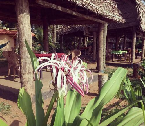 Hotel Sukriti Beach Resort