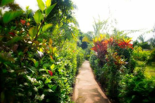 Hotel Red Earth Kabini