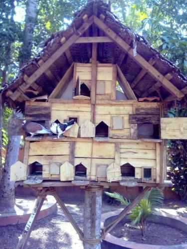 Hotel Nalukettu Resort