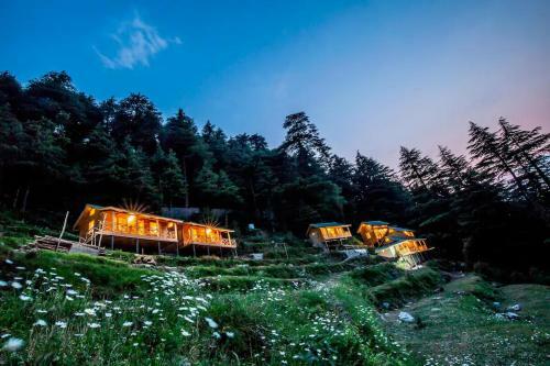 Mid Conifer Cottage