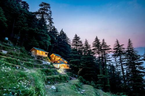 Mid Conifer Cottage