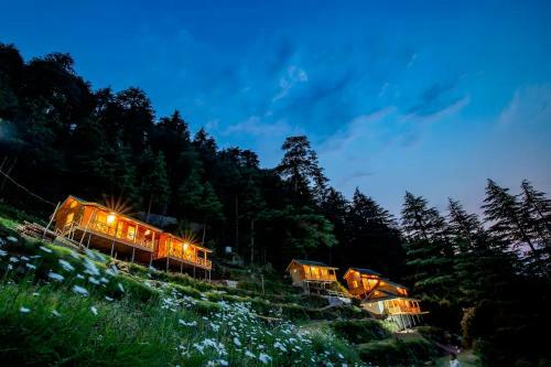 Mid Conifer Cottage