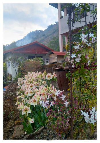 Binayak Homestay