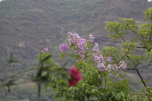 Agroturismo West Vally Farm Villa