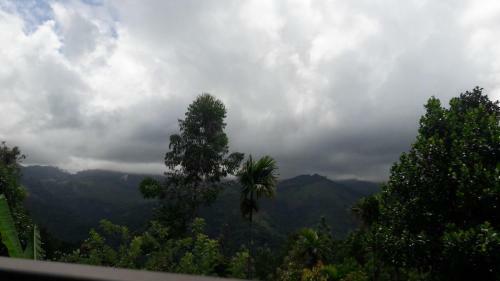 Bed & Breakfast Munnar Farmhouse