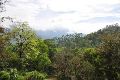Hotel Munnar Summer Castle
