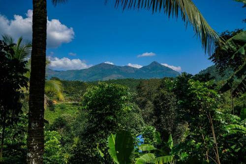 Apartamentos 2br Lush-view Cottage, Munnar
