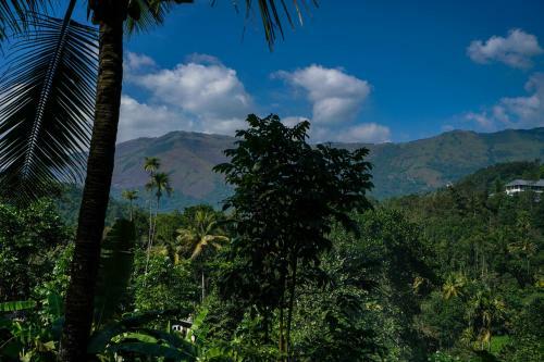 Apartamentos 2br Lush-view Cottage, Munnar