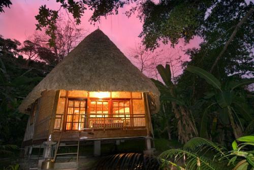 Hotel The Barefoot At Havelock
