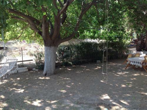 Hostal �z Likya Pension