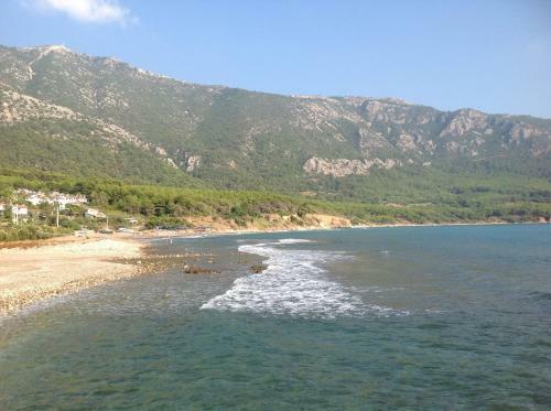 Hostal �z Likya Pension