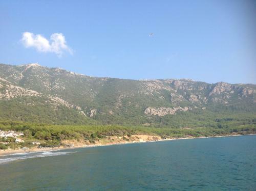 Hostal �z Likya Pension