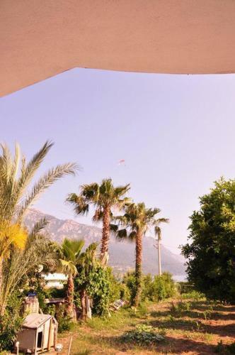 Hostal �z Likya Pension