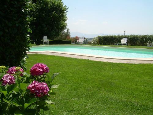 Apartamento Studio In Montefiascone/latium 26486