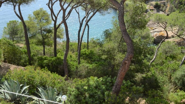 Apartamento Allegroitalia Elba Capo D'arco