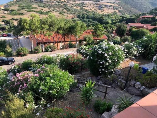 Home-relax-sunshine