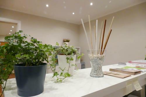 Hostal Gialel Pisa