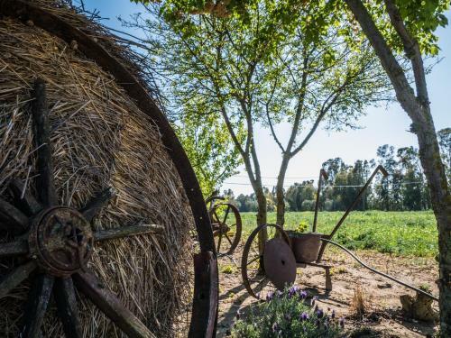 Agroturismo Il Fontanile