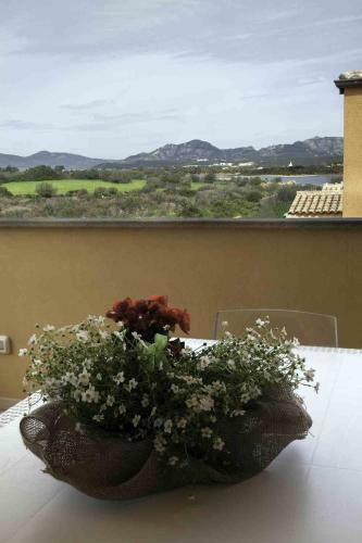 Apartamento Aria Di Vacanza - Gelsi