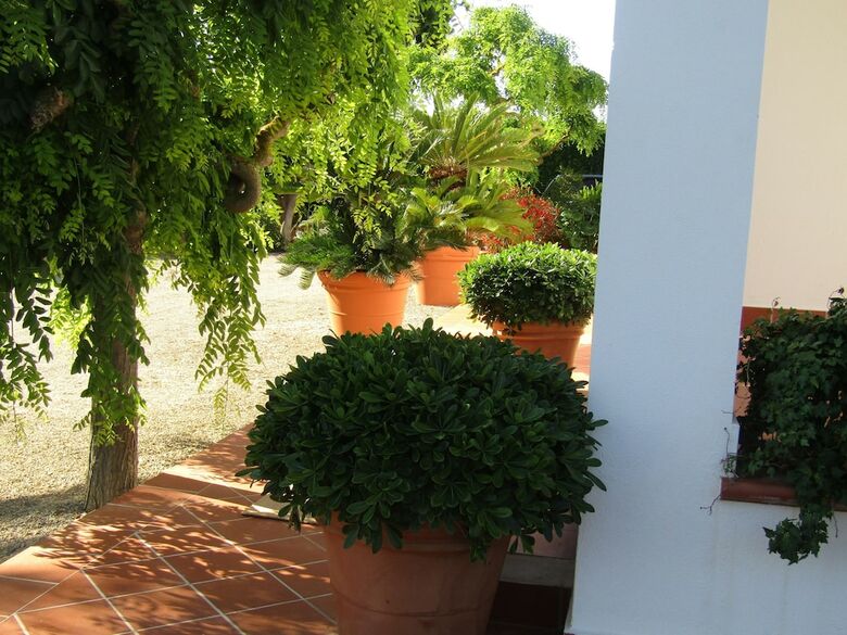 Hostal Arenosu A Pochi Km Dalle Spiagge