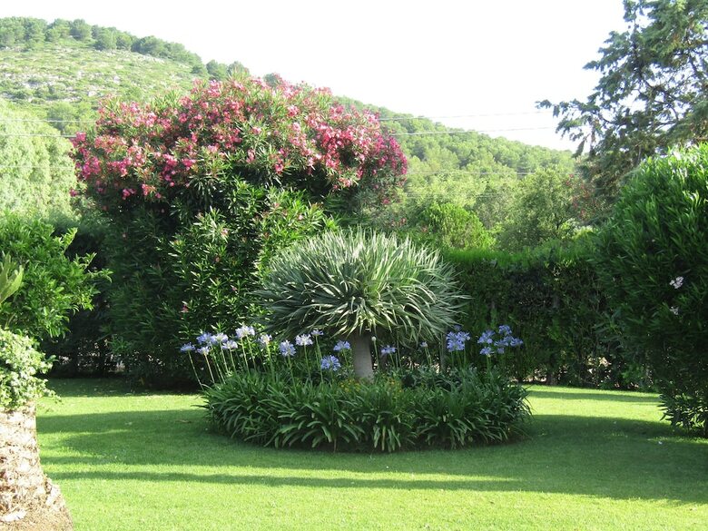 Hostal Arenosu A Pochi Km Dalle Spiagge