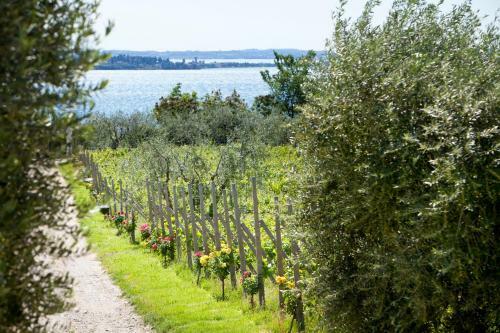 Agroturismo Agrigturismo Monte Cicogna