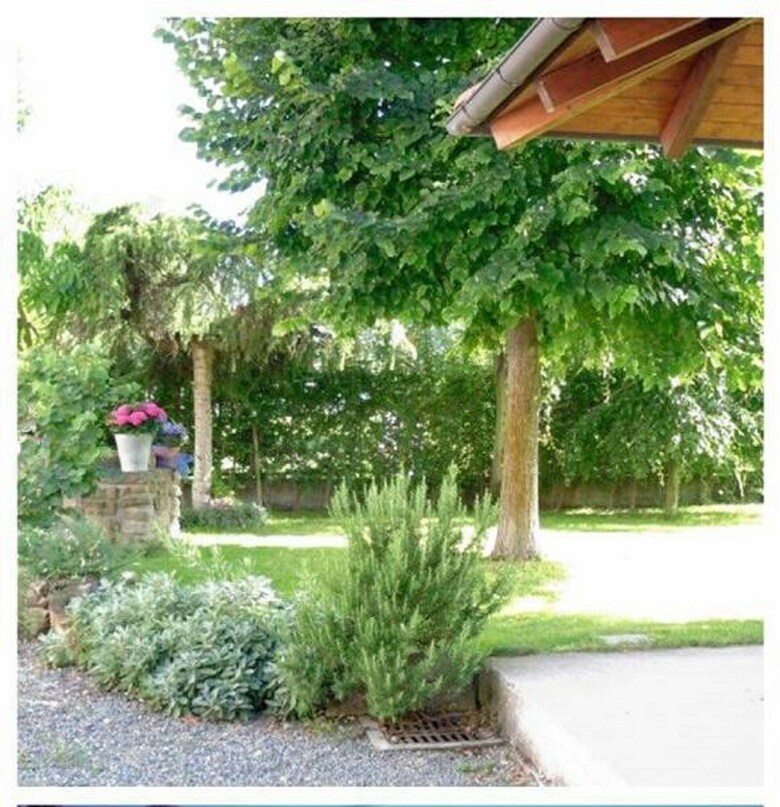 Hostal Villa Curte Nicia
