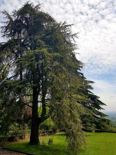 Bed & Breakfast Villa La Palazzina