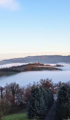 Bed & Breakfast Villa La Palazzina