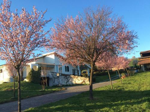 B&B Il Melograno