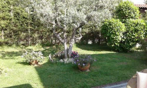 B&B Villa Milena
