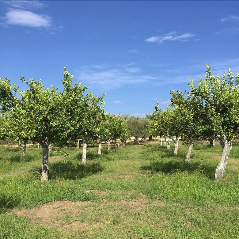 Lodge Iuta Glamping & Farm