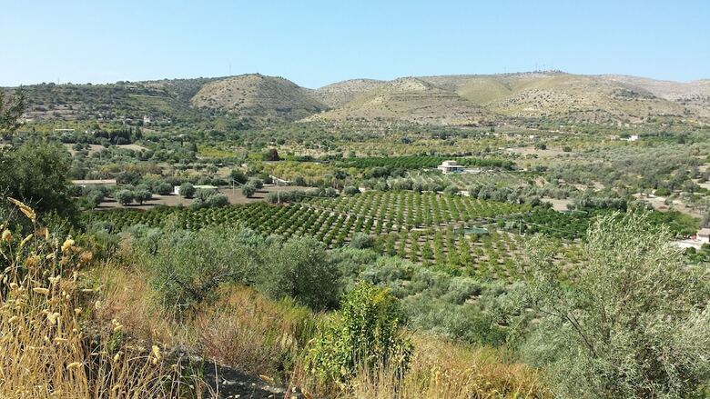 Lodge Iuta Glamping & Farm