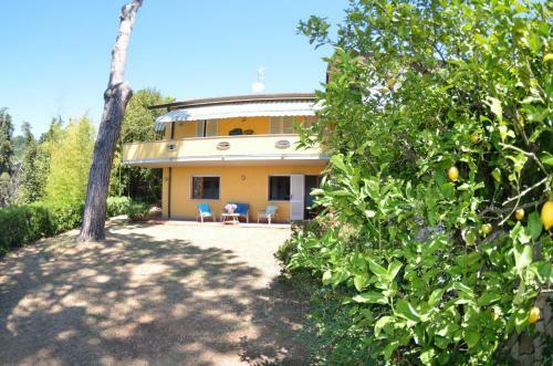 Il Corbezzolo